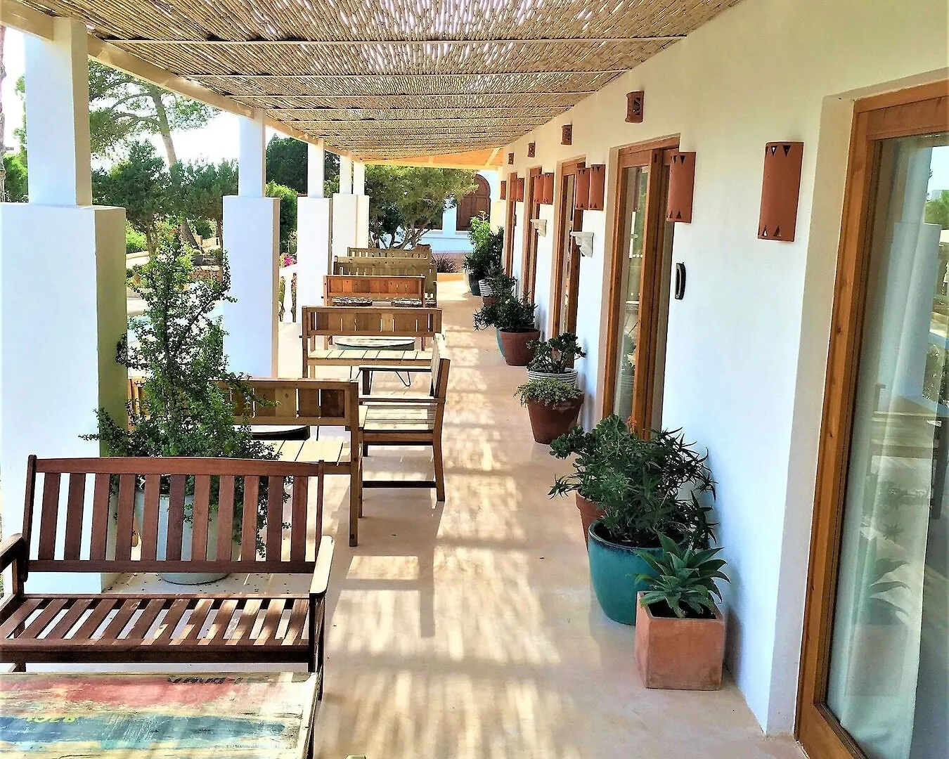 ****  Hotel Petunia Ibiza (Adults Only) à San José Espagne