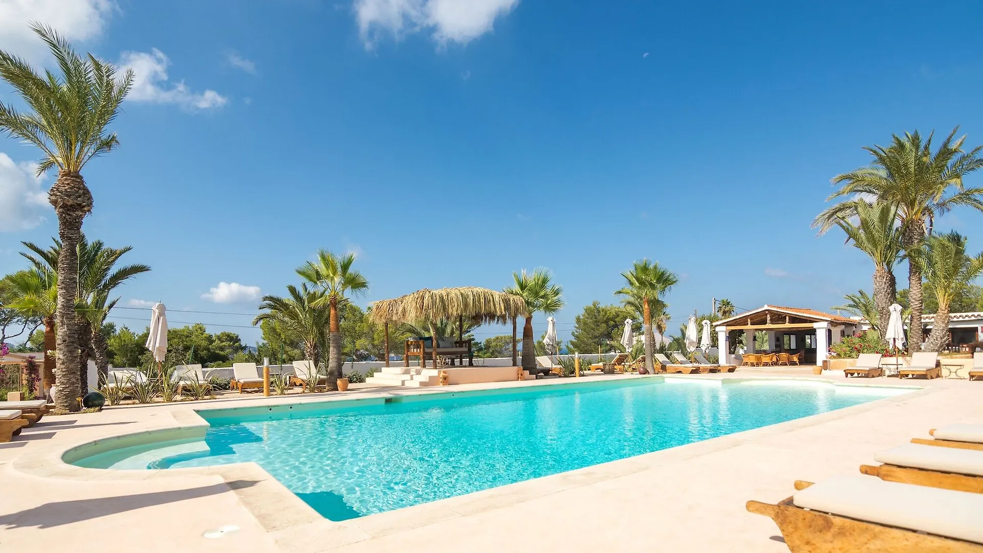 Petunia Ibiza (Adults Only) Hotel San José